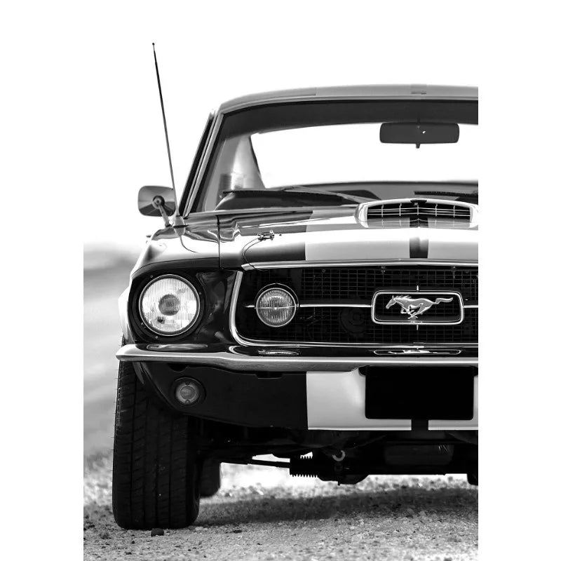Póster en lienzo de coches en blanco y negro
